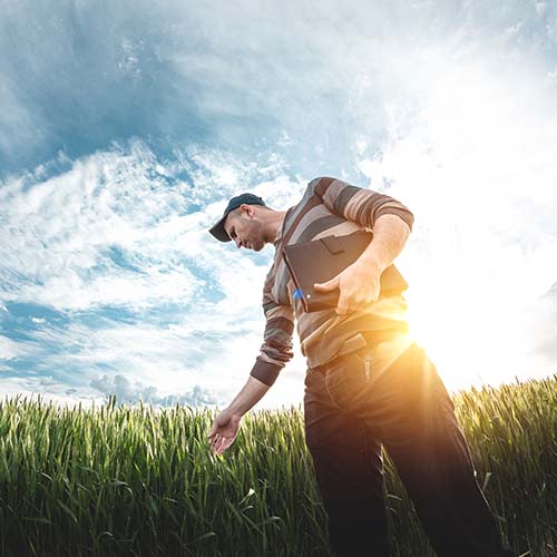 SGS.com Website Image