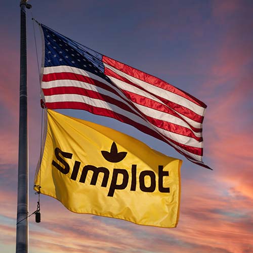 Square_500x500_Flags_AmericanAndSimplot-original SGS.com Website Image