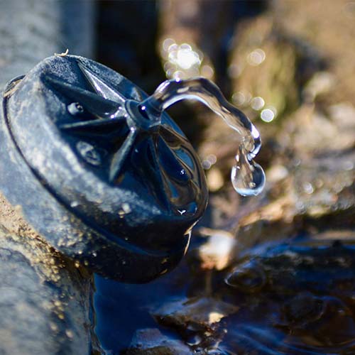 SGS.com Website Image