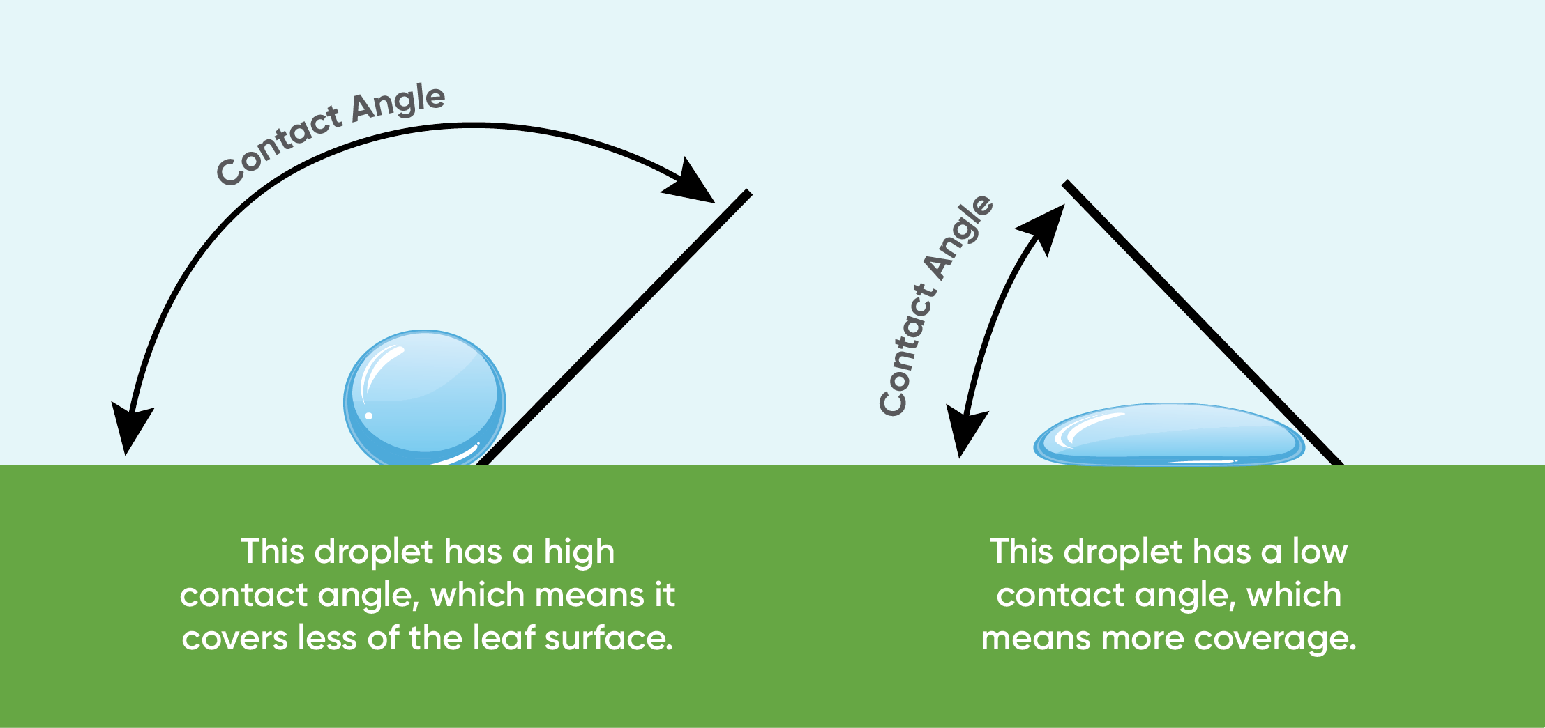 adjuvant droplet contact angle