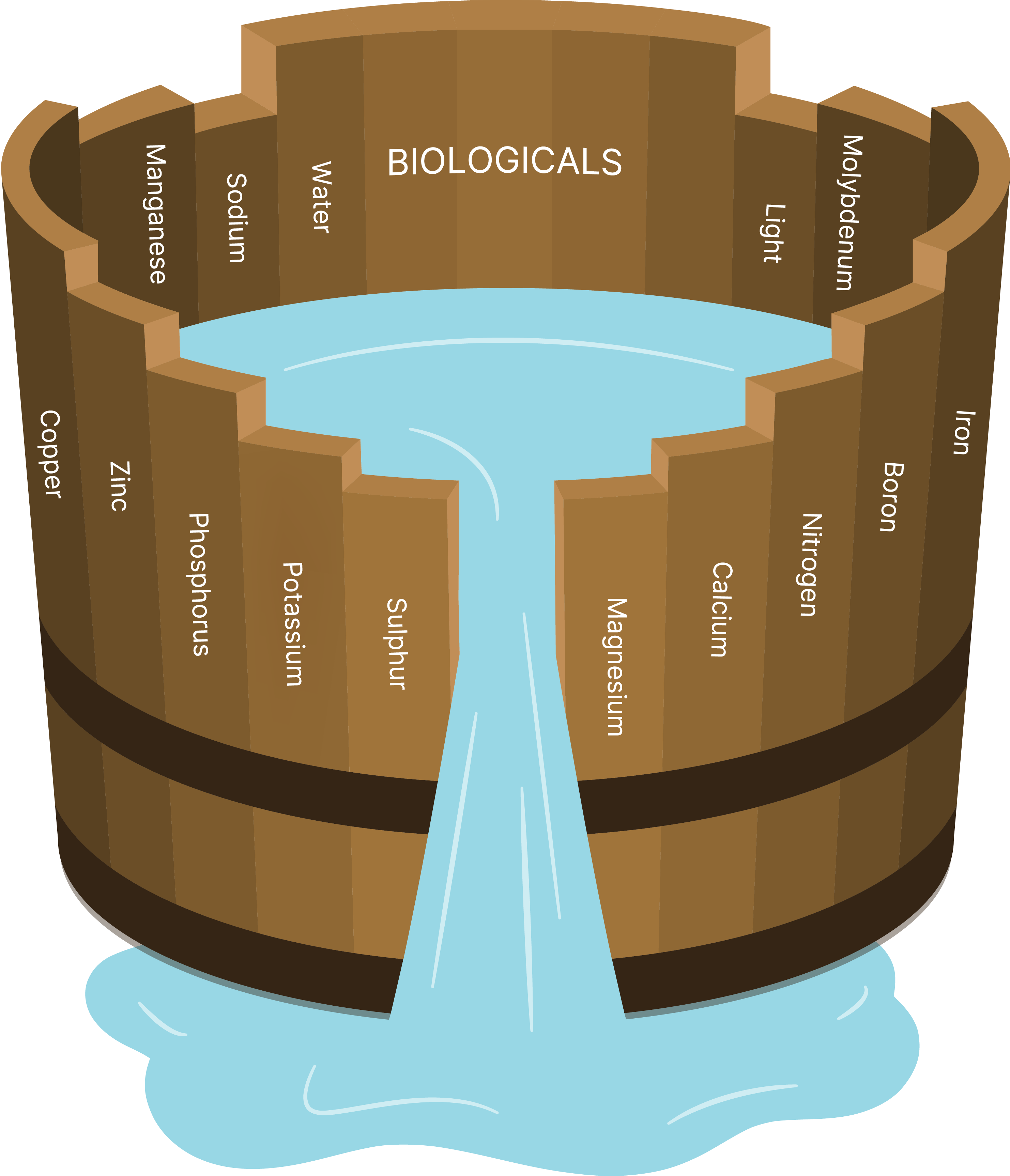 Leibigs law of minimum